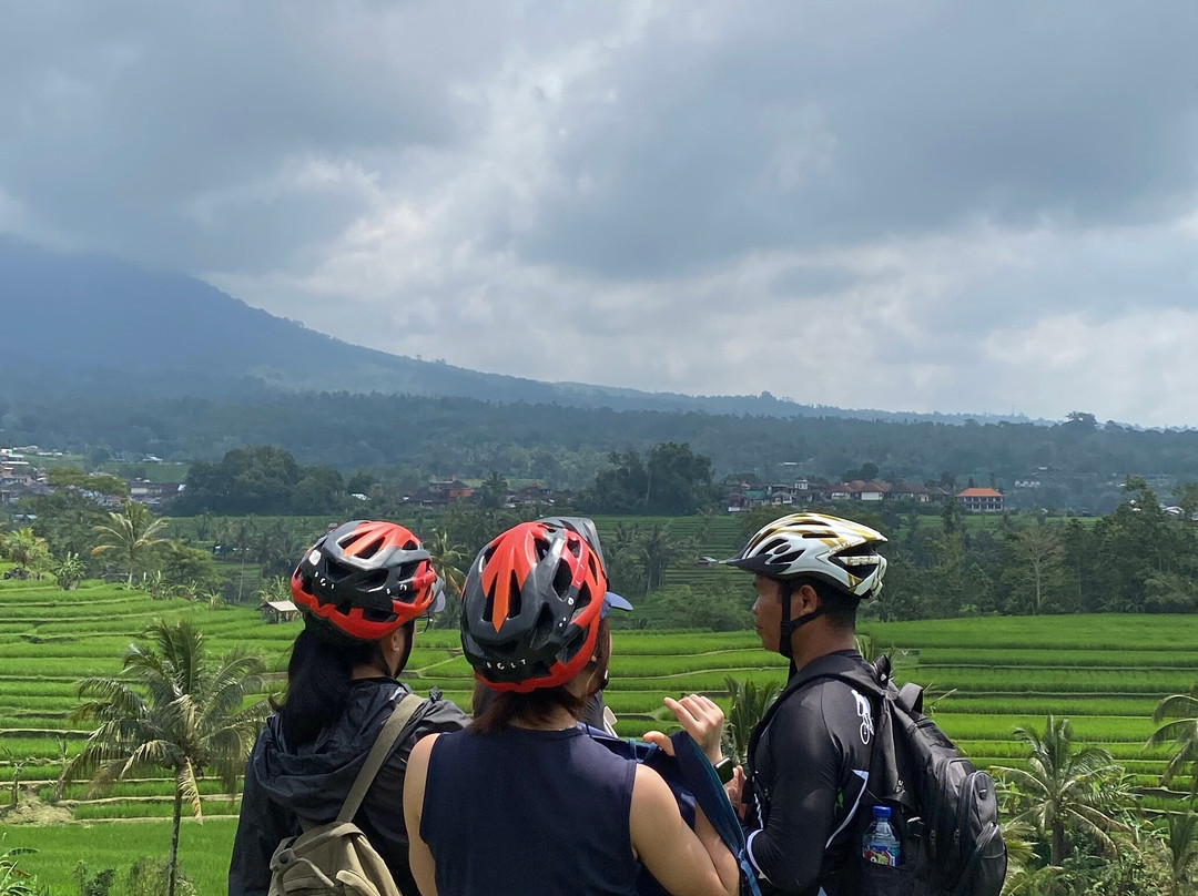 Jatiluwih Cycling Tour By Easy Bali Cycling-达巴南必去景点