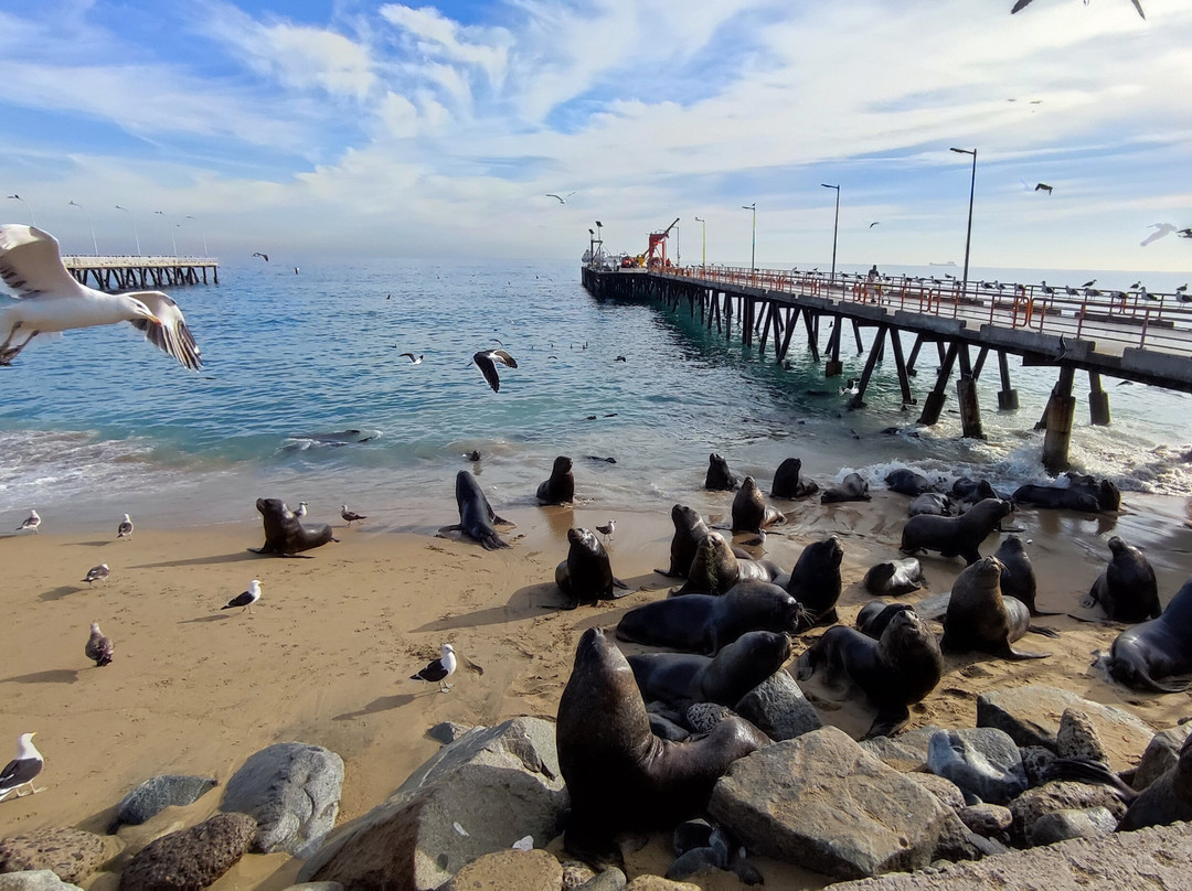 JULIO PRIVATE TOURS-圣地亚哥必去景点