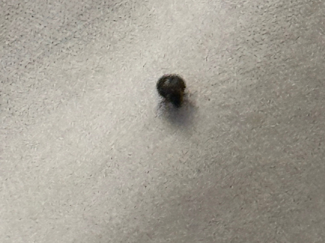 Days Inn by Wyndham Montmagny主图