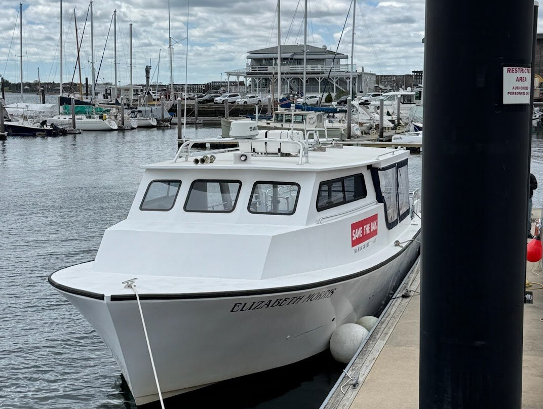 Save The Bay Seal Watch & Nature Cruises-纽波特必去景点