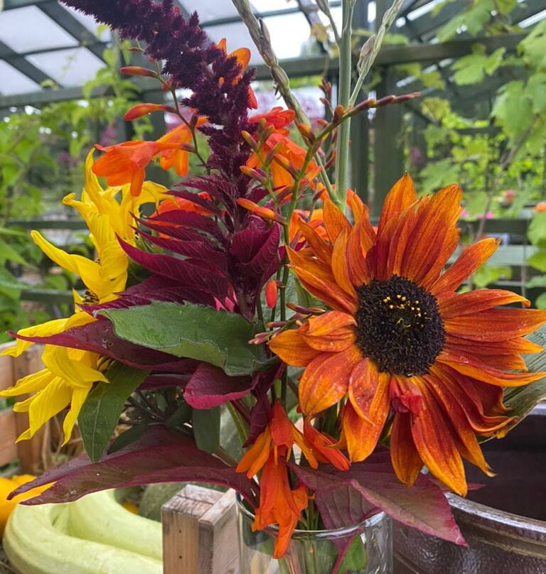 Osprey Farm Studio-Strangnas必去景点