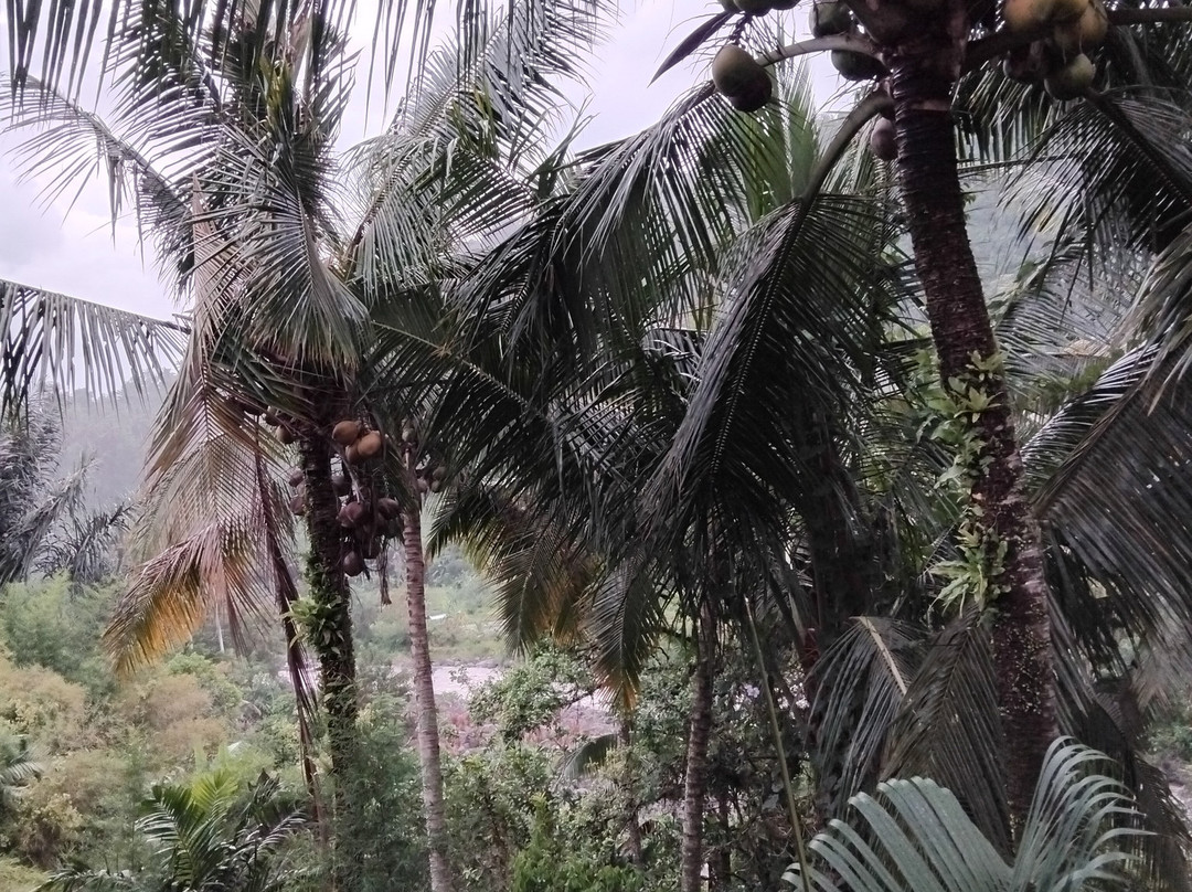 Wapa di Ume Sidemen主图