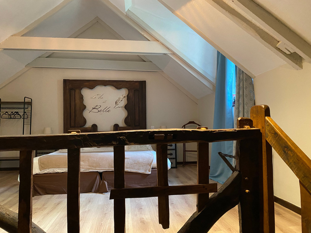 杜克磨坊酒店主图