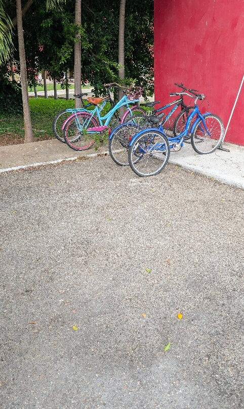 Hacienda Yabucu主图