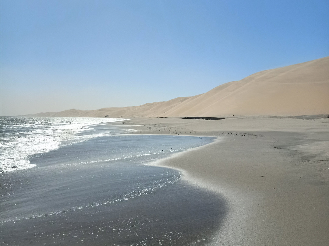 Turnstone Tours-斯瓦科普蒙德必去景点