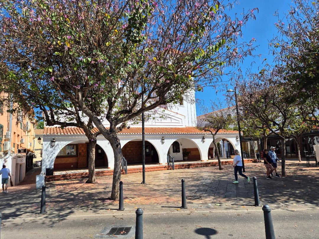 Iglesia de La Inmaculada Concepcion景点图片
