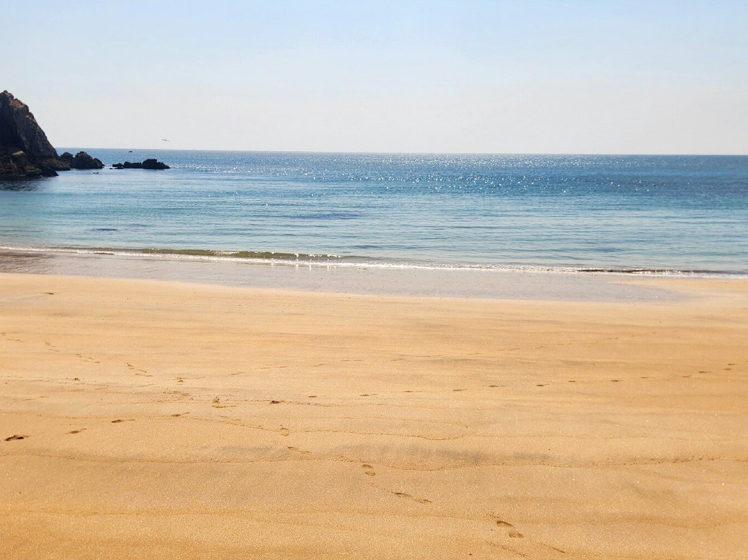 Plage des Soux-Ile d'Yeu必去景点