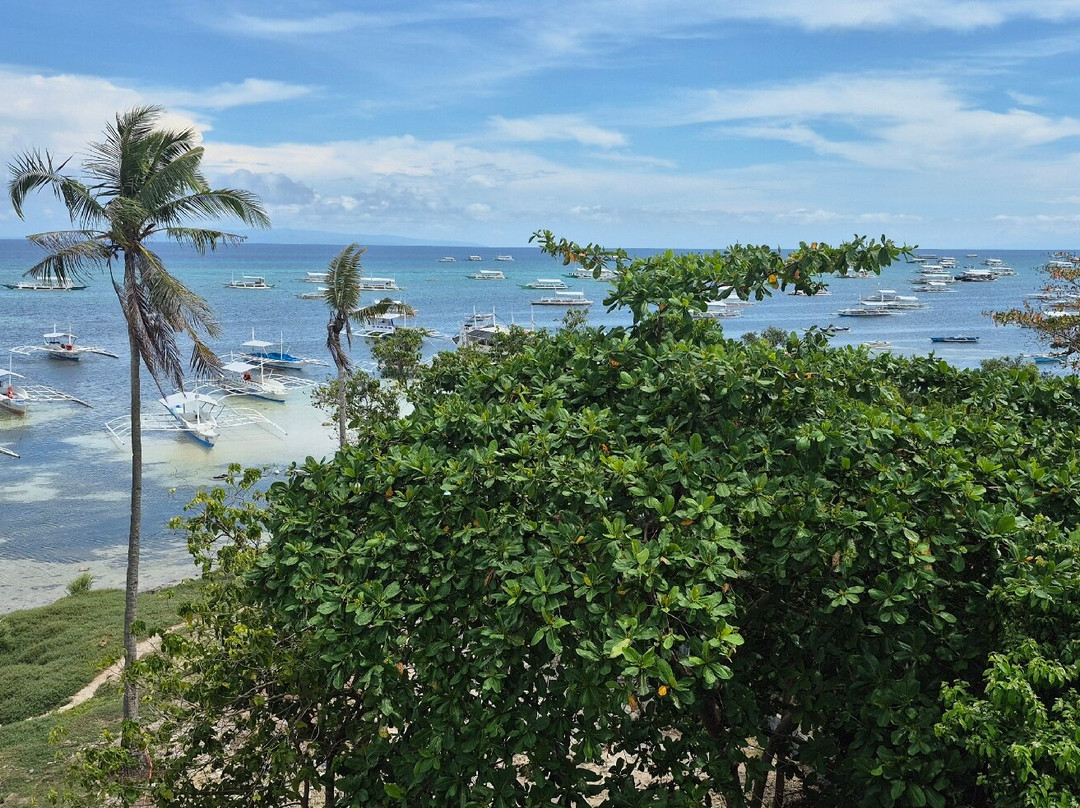 薄荷岛南部海滩酒店主图