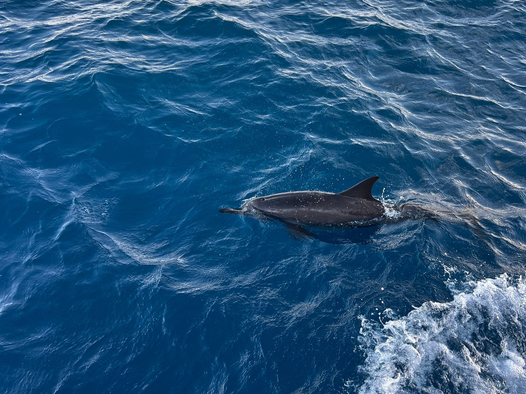 双鱼岛度假村主图