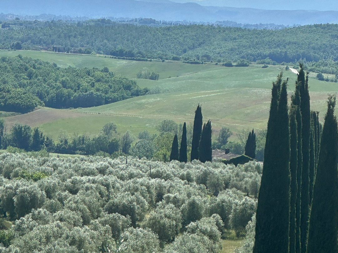 Crete Senesi-阿夏诺必去景点