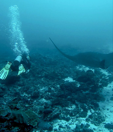Bali Scuba-沙努尔必去景点