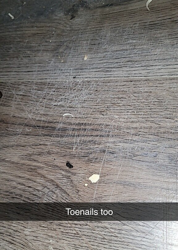 Wingate by Wyndham Springfield主图