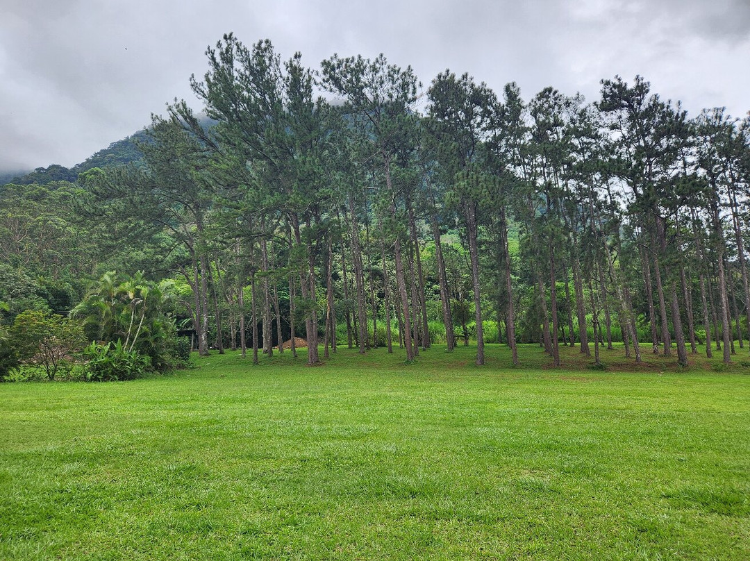 Hotel Campestre主图