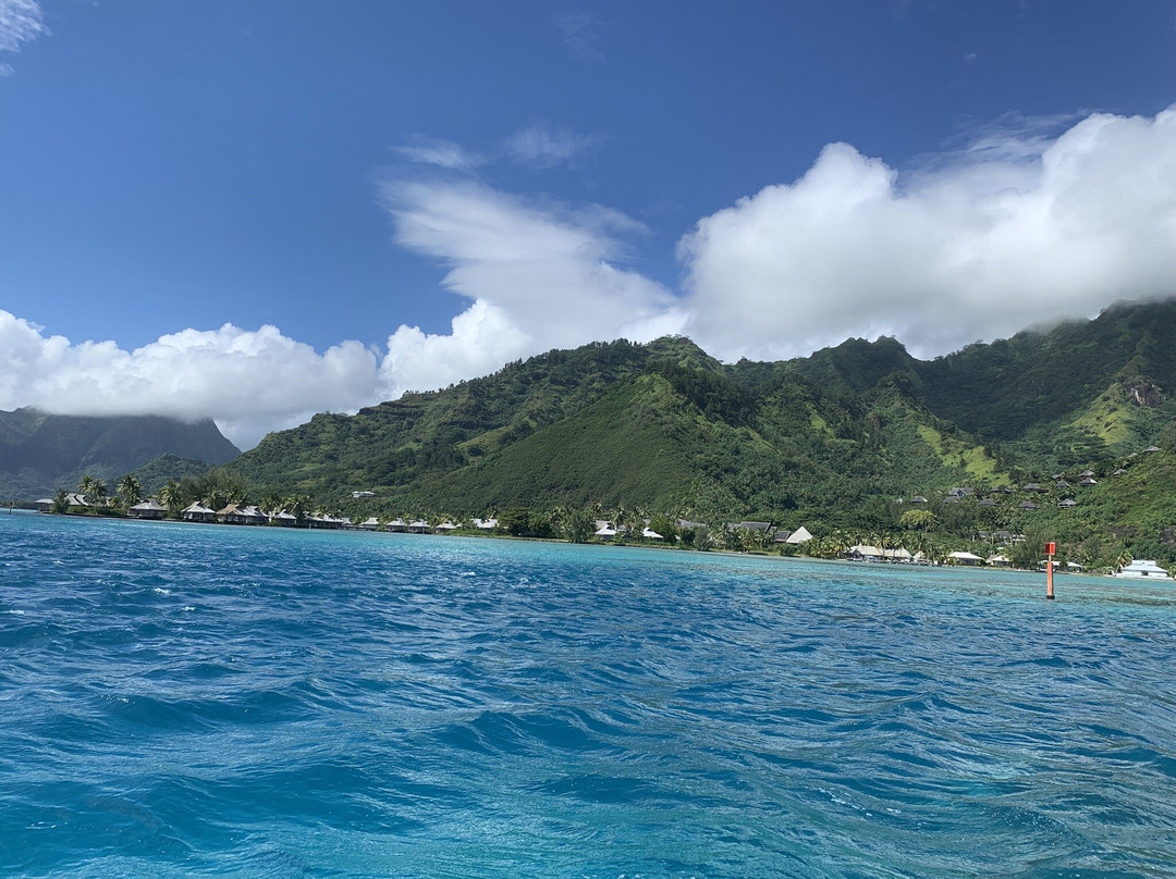 Moorea Tiki Tour-Paopao必去景点