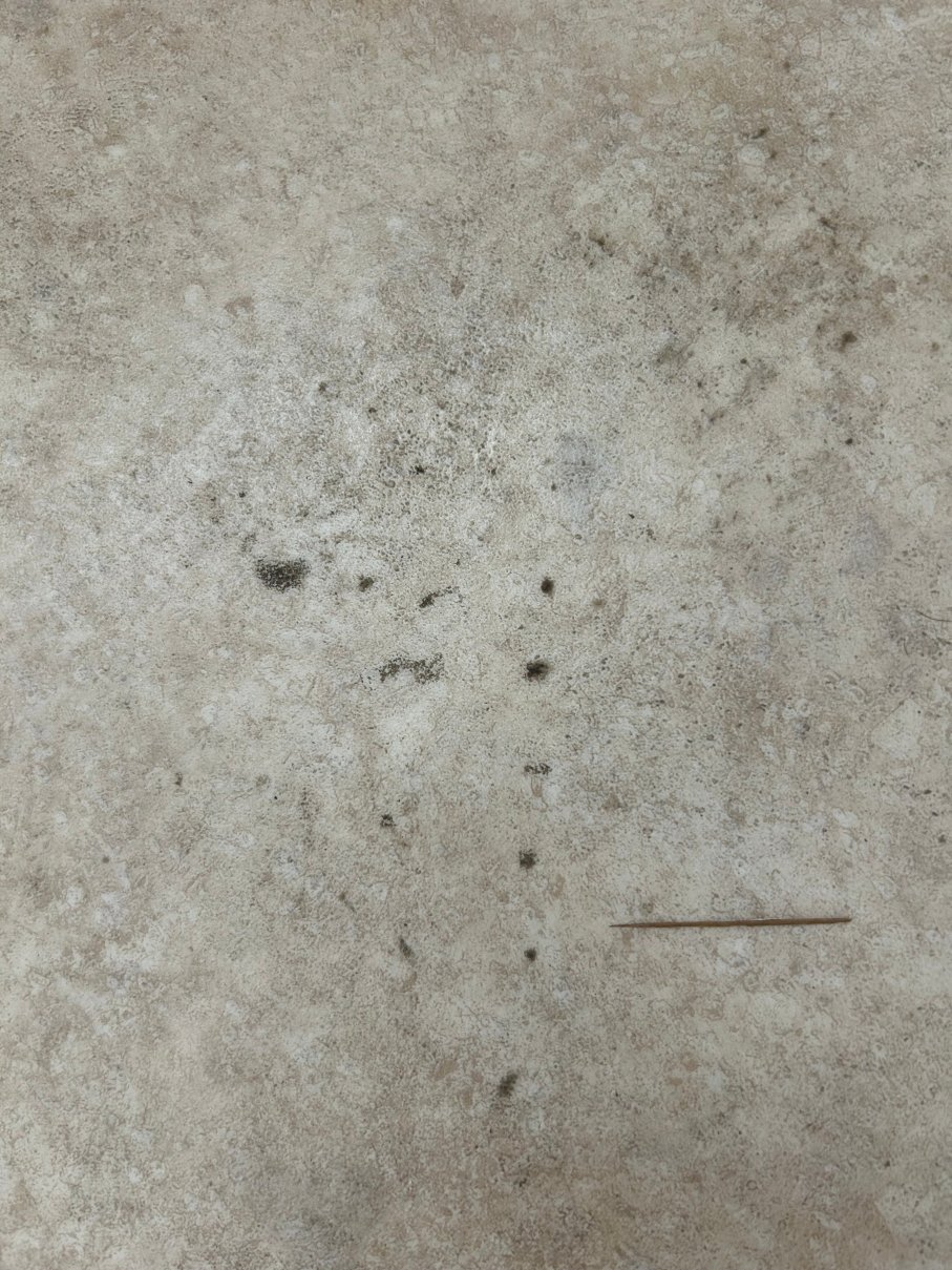 The Ocean View Hotel-客卧