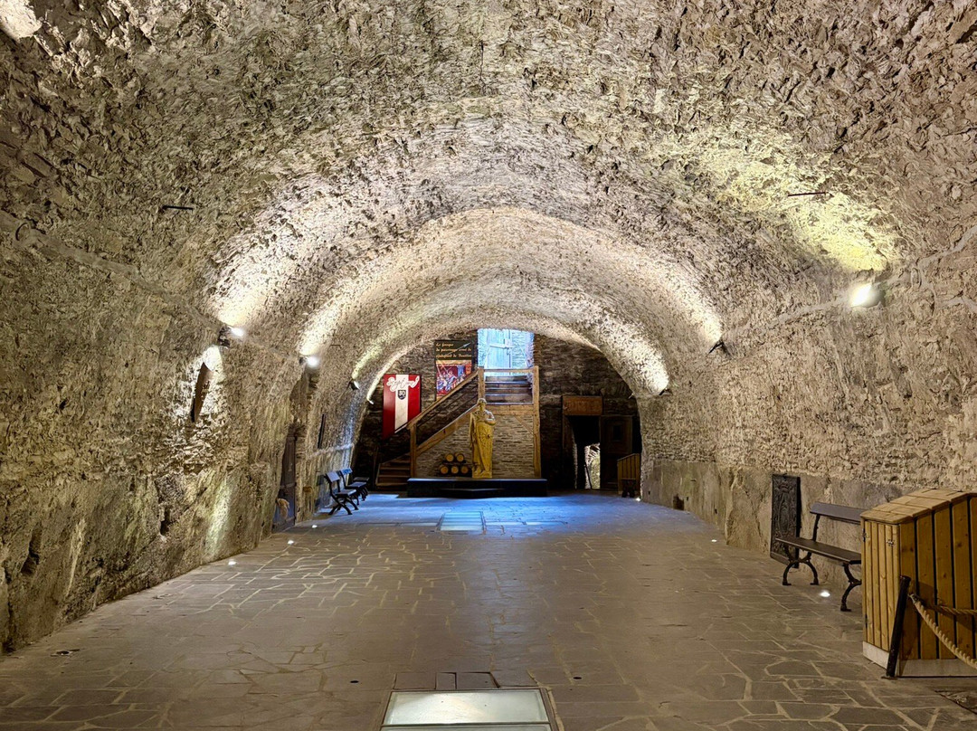 Visites guidées ville et château de Bouillon景点图片