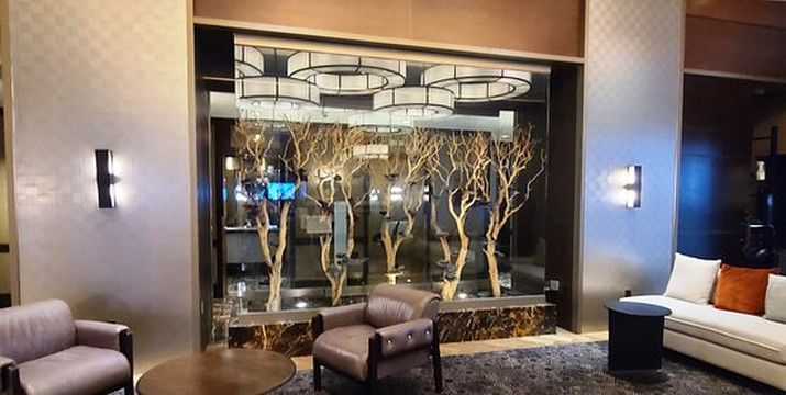 缪斯纽约酒店主图