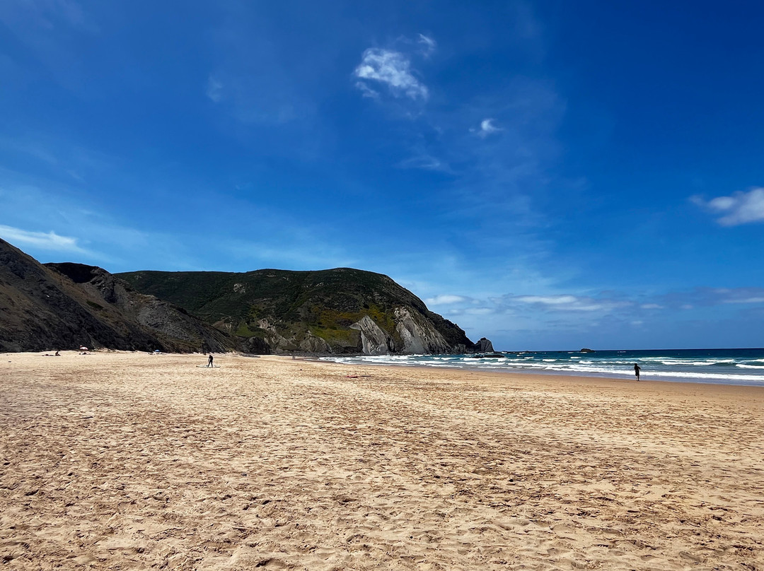 Chicks On Waves主图