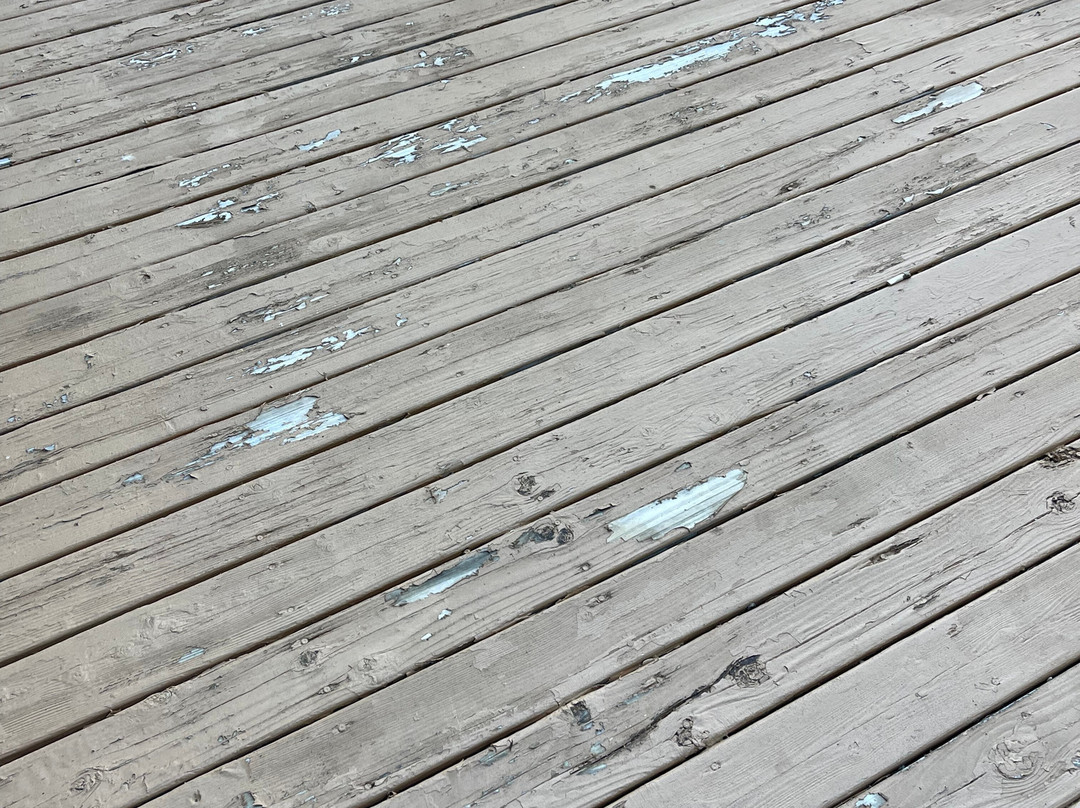 Best Western Plus Tree House主图