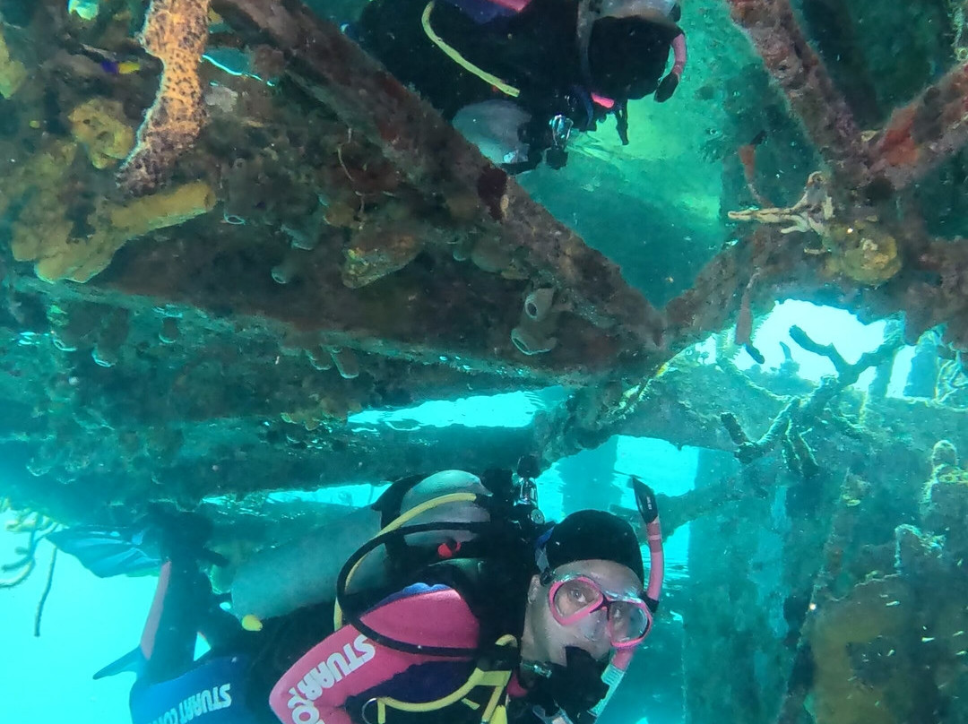 Stuart Cove's-拿骚必去景点