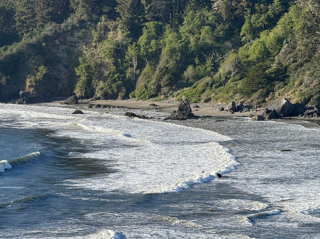 Trinidad State Beach-Trinidad必去景点