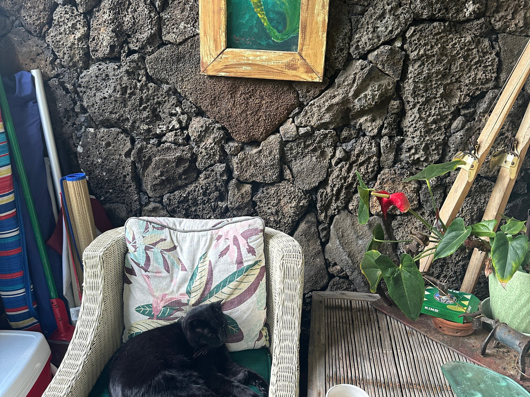 Hanalei Surfboard House主图