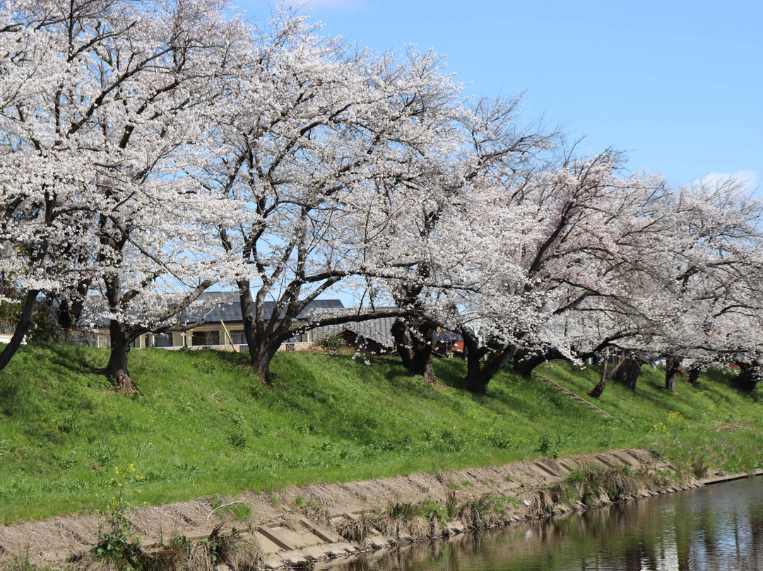 Shinsakai River Tsutsumi-各务原市必去景点