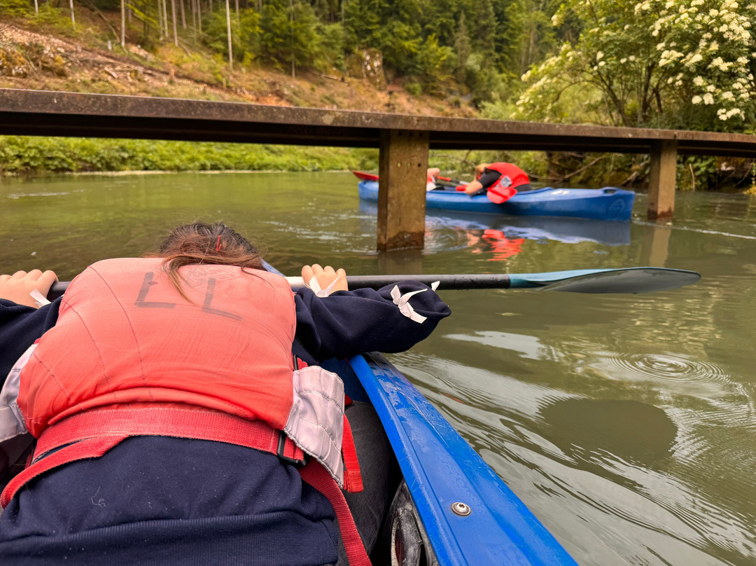 Leinen Los | Outdoorevents in Franken-Gossweinstein必去景点
