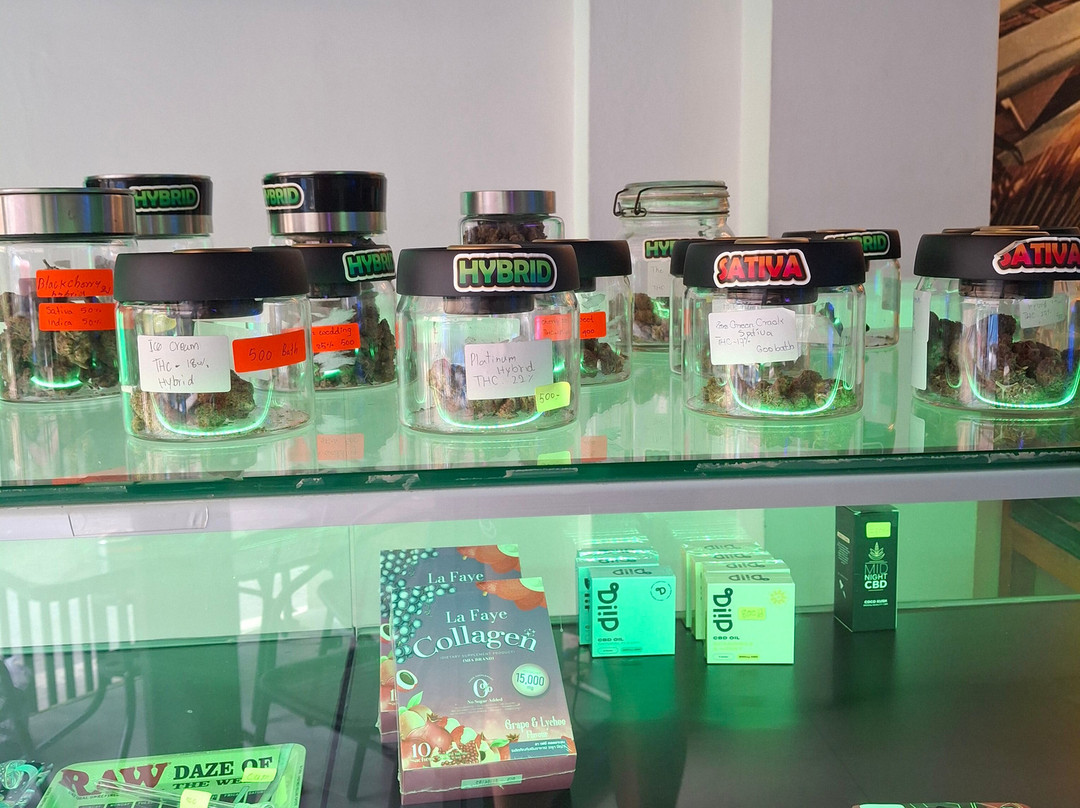 Weed Gallery Pattaya