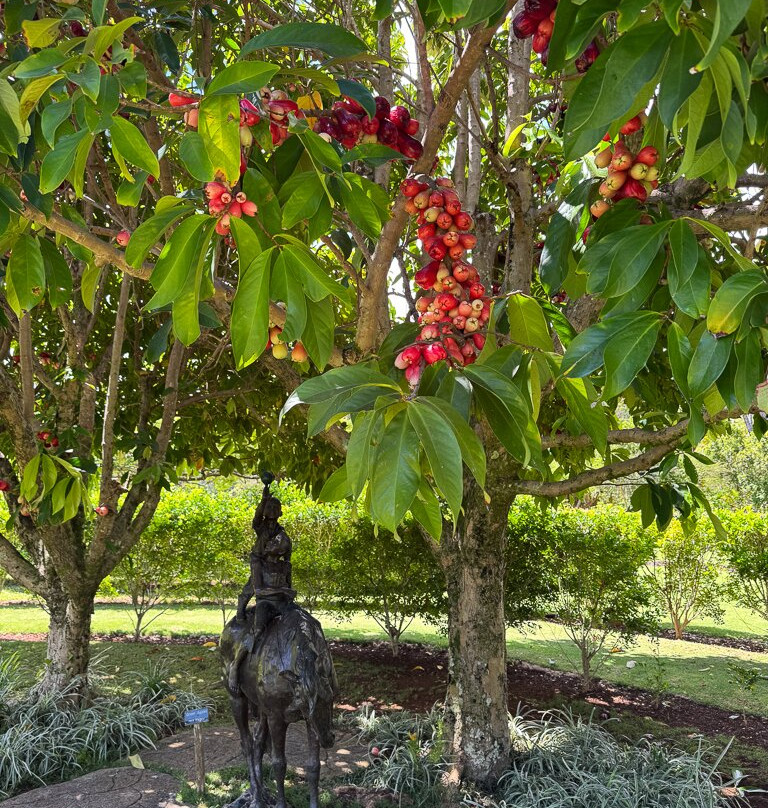 Na Aina Kai Botanical Gardens-基拉韦厄必去景点