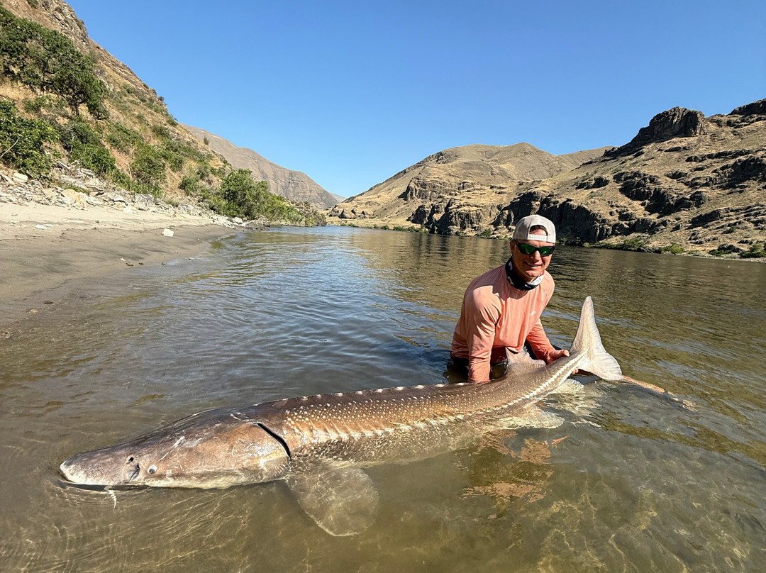 Hells Canyon Sport Fishing景点图片