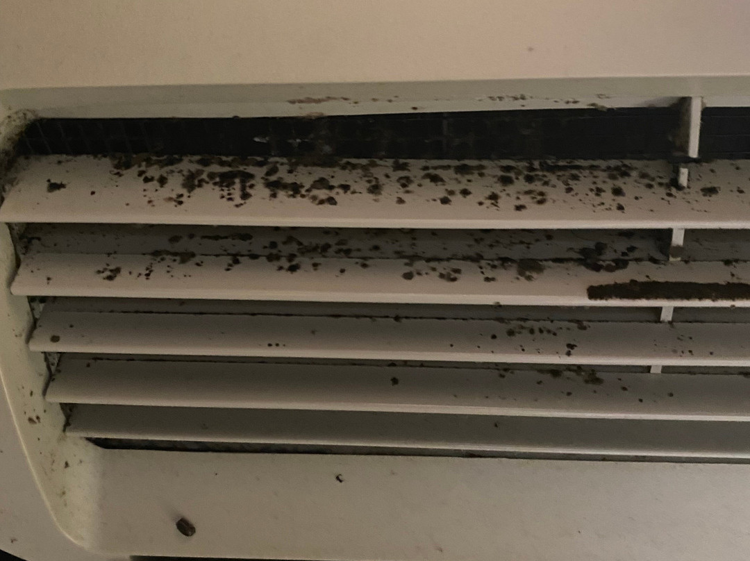 Super 8 by Wyndham Galesburg