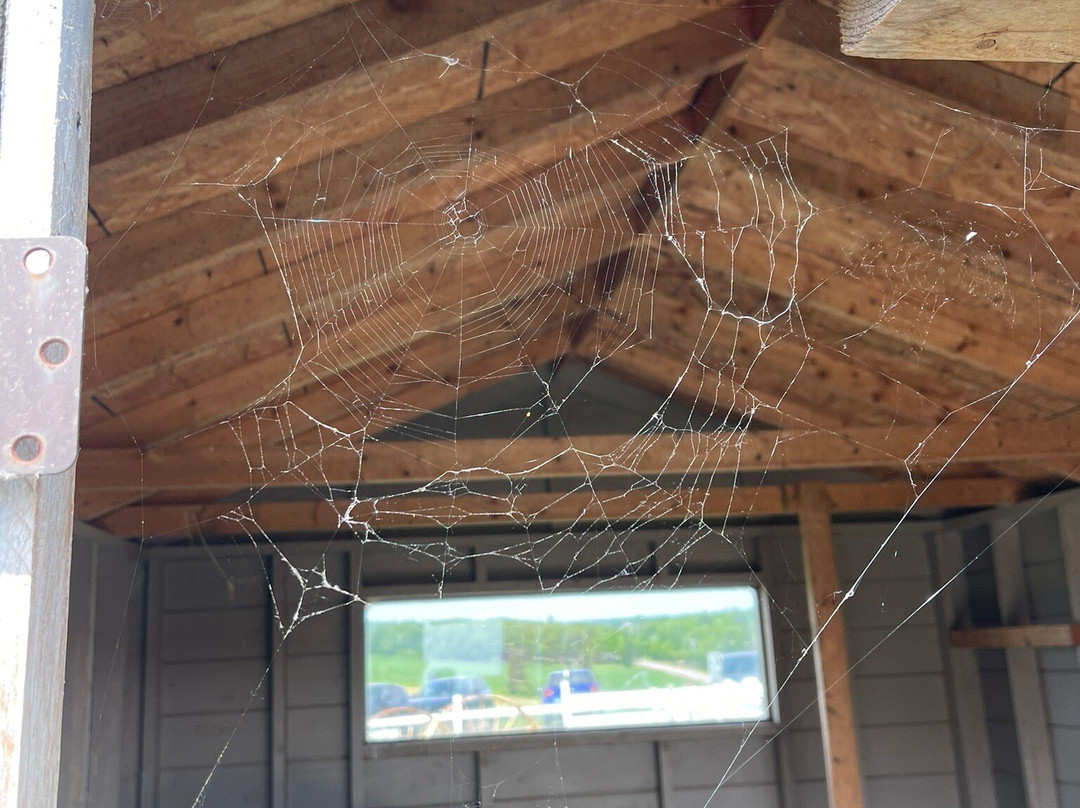 Island Hill Farm Inc-Hampshire必去景点