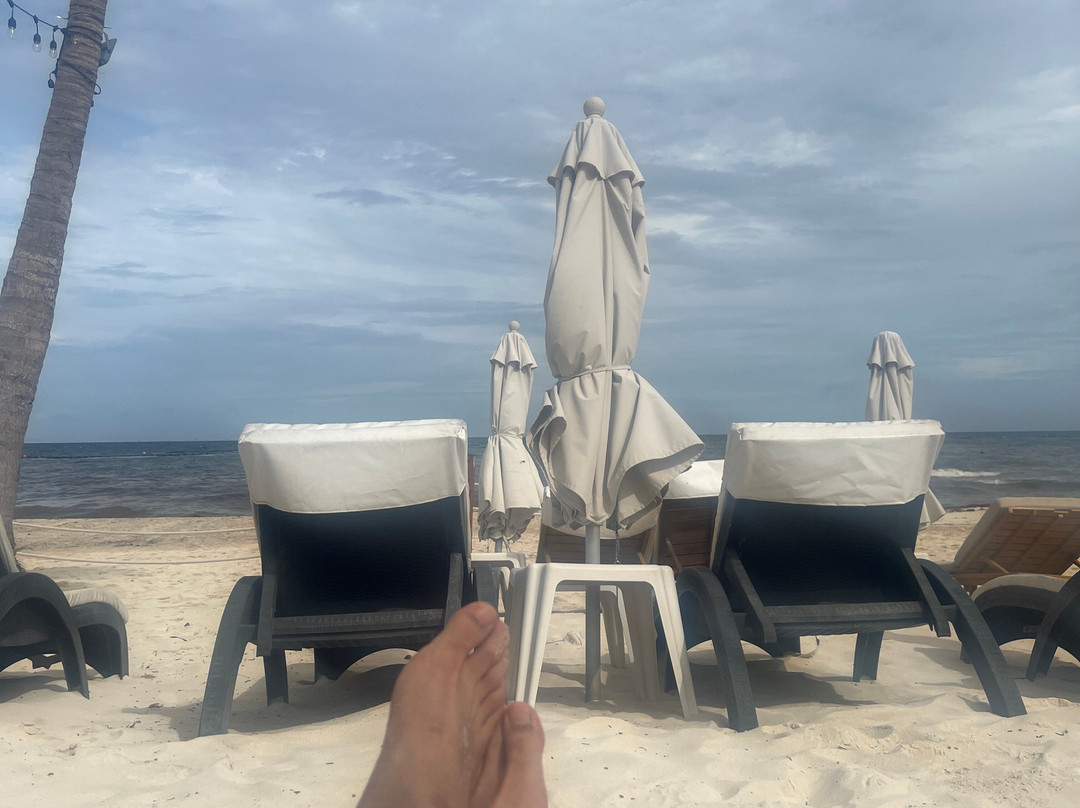 Martina Beach Club-普拉亚德尔卡曼必去景点