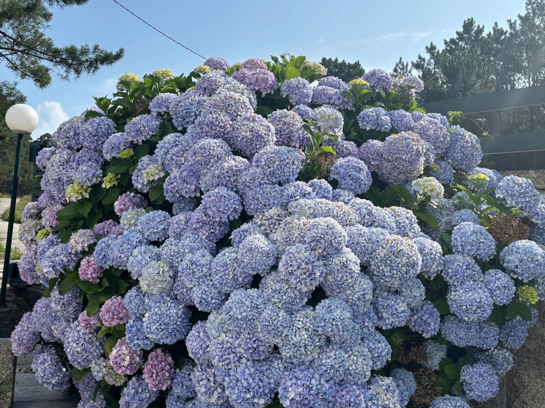 Hotel Duerming San Vicente主图