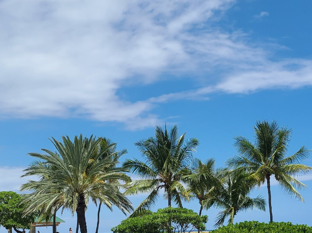 Old Kona Airport State Recreation Area-凯鲁瓦-柯纳必去景点