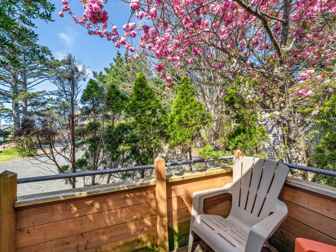 The Inn at Manzanita主图