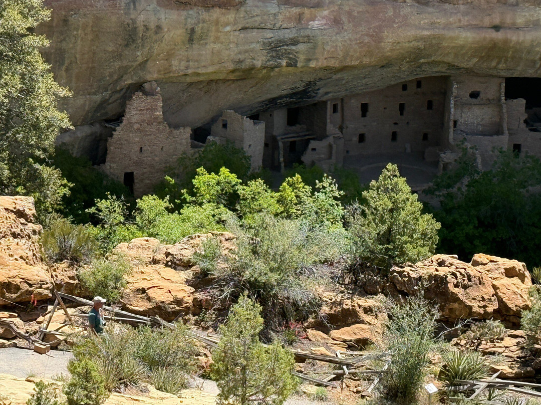 Spruce Tree House-梅萨维德国家公园必去景点