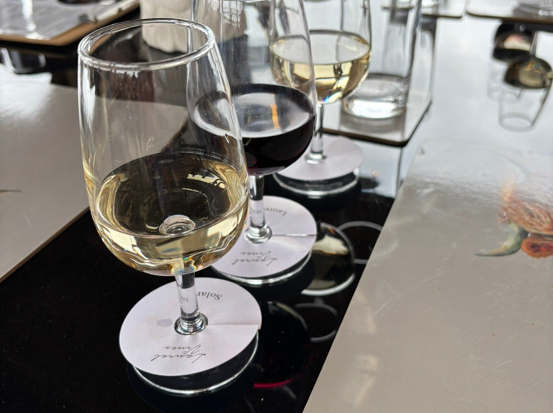 Laurel Vines Vineyard And Winery-Driffield必去景点