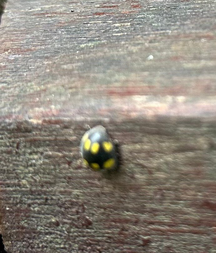 Catarata de Gocta-Valera必去景点