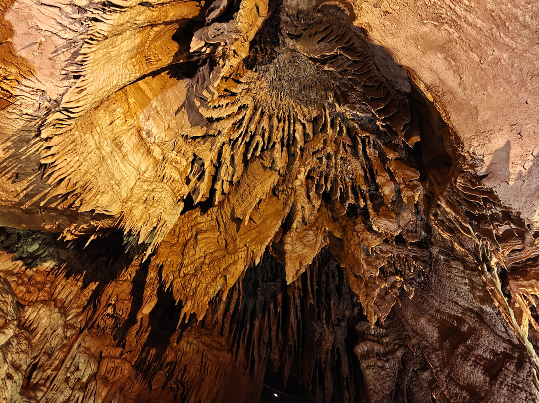 Domes And Dripstones Tour-Mammoth Cave必去景点