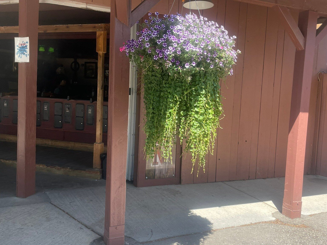 卡勒威游乐园-卡尔加里必去景点