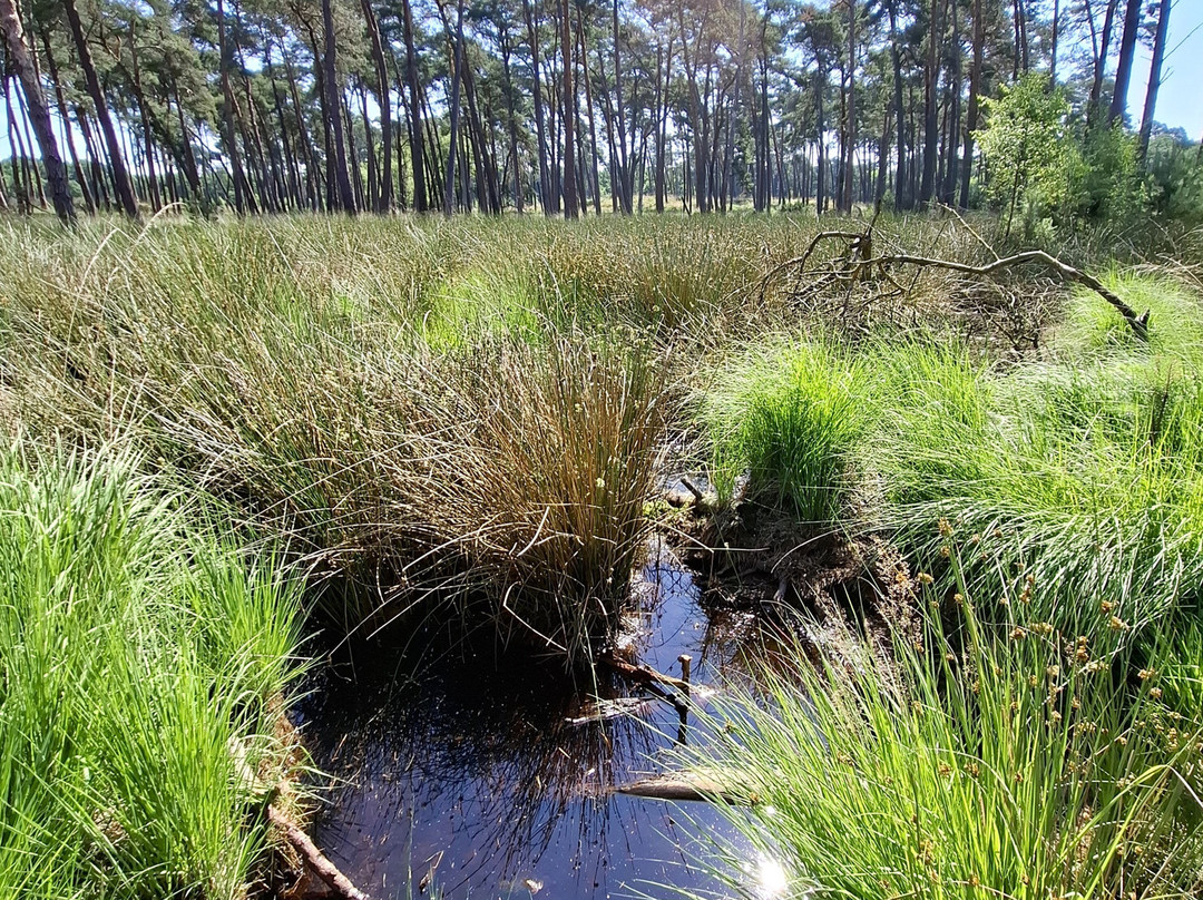 Moorerlebnisweg-韦瑟尔必去景点