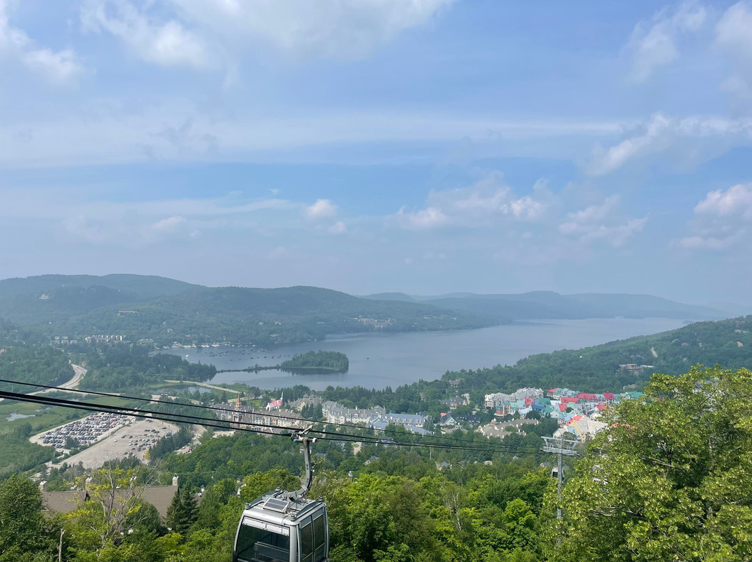 Ziptrek Ecotours-塔伯拉山必去景点