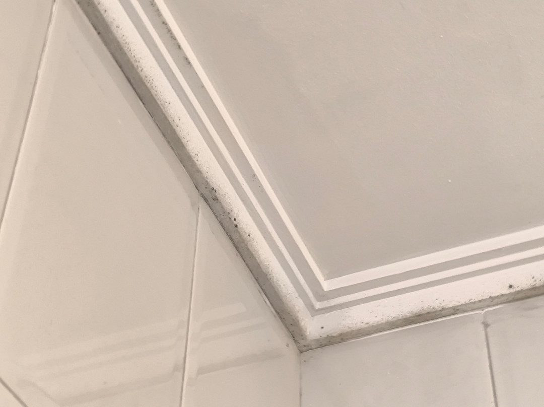 阿斯图里亚斯酒店主图