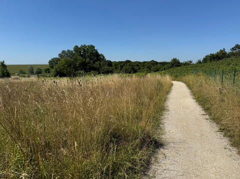 范德瓦尔克巴黎戴高乐机场酒店