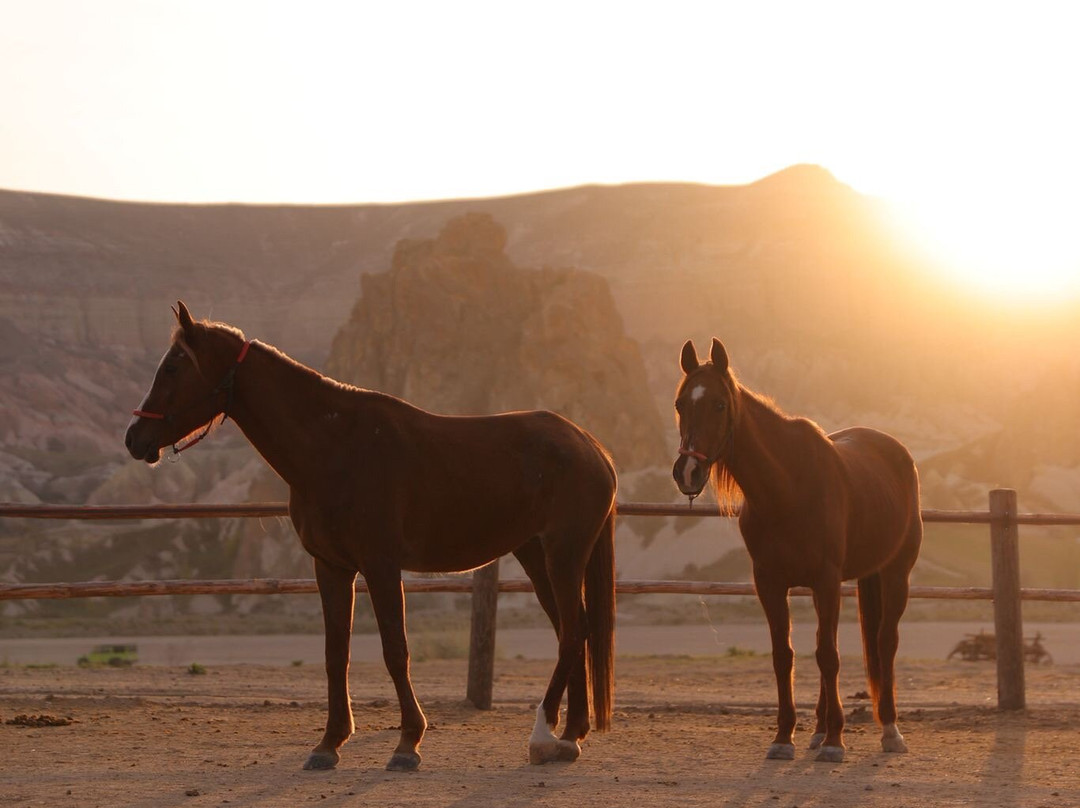 Moonlight Horse Ranch-格雷梅必去景点