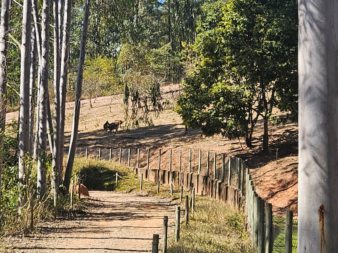 Bioparque Serra Negra-塞拉内格拉必去景点