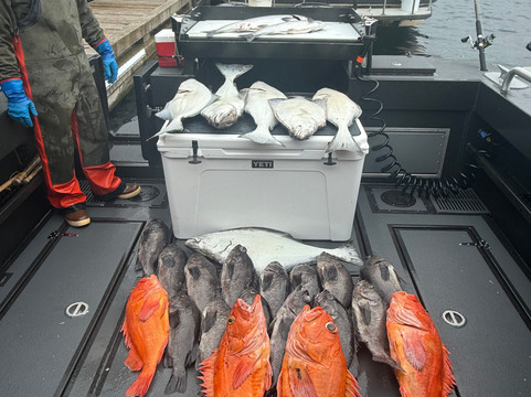 Sitka Fishing Excursions-锡特卡必去景点