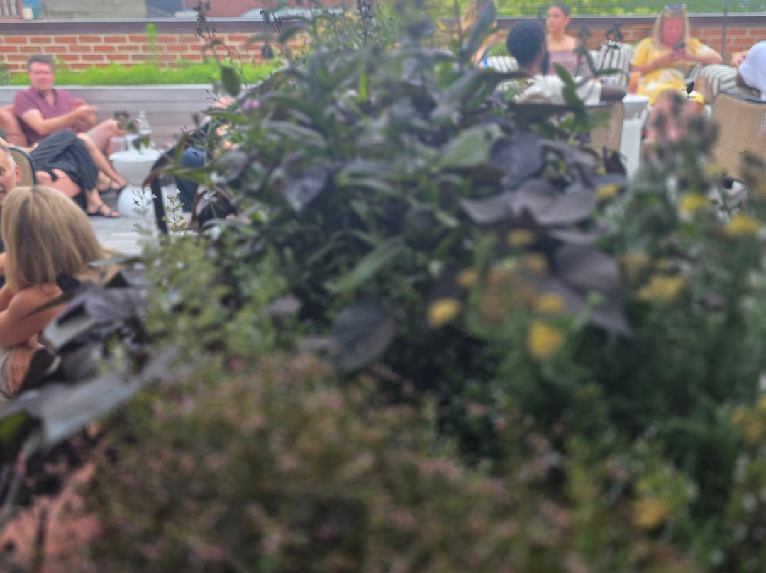 The Quoin Hotel主图